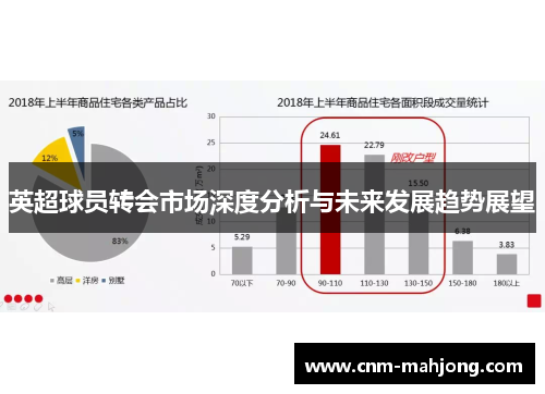 英超球员转会市场深度分析与未来发展趋势展望 英超球员转会市场深度分析与未来发展趋势展望