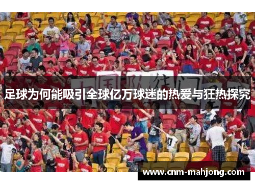 足球为何能吸引全球亿万球迷的热爱与狂热探究
