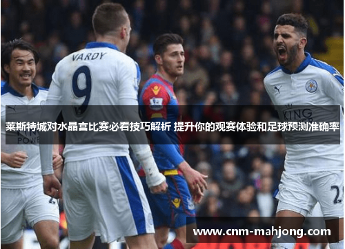 莱斯特城对水晶宫比赛必看技巧解析 提升你的观赛体验和足球预测准确率 莱斯特城对水晶宫比赛必看技巧解析 提升你的观赛体验和足球预测准确率