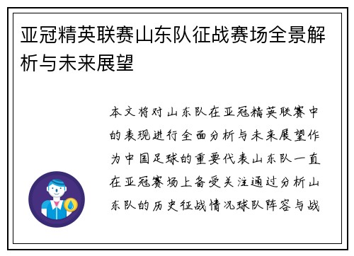 亚冠精英联赛山东队征战赛场全景解析与未来展望
