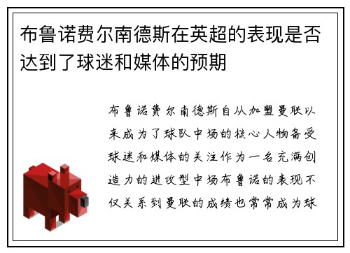 布鲁诺费尔南德斯在英超的表现是否达到了球迷和媒体的预期